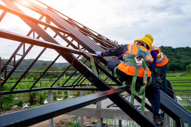 Best Storm Damage Roof Repair  in Hartselle, AL