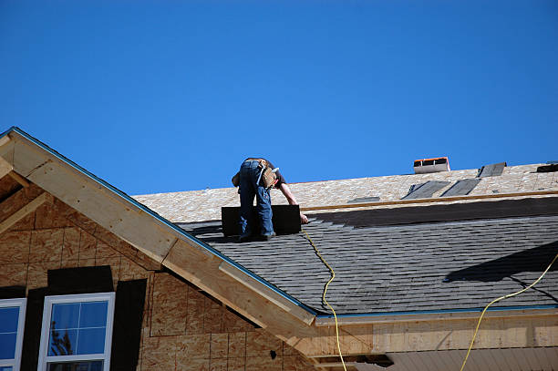 Best Roof Gutter Cleaning  in Hartselle, AL